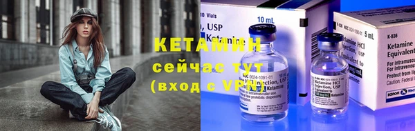 прущие грибы Белокуриха
