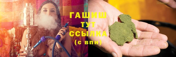 прущие грибы Белокуриха