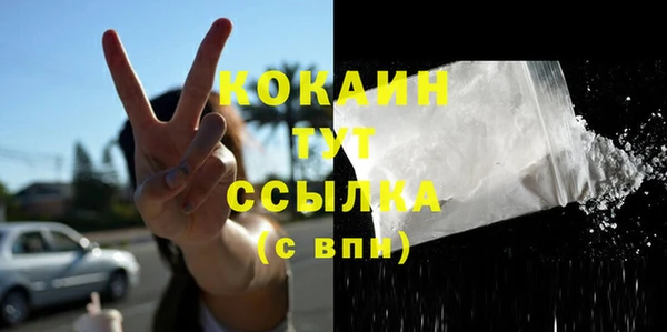 прущие грибы Белокуриха