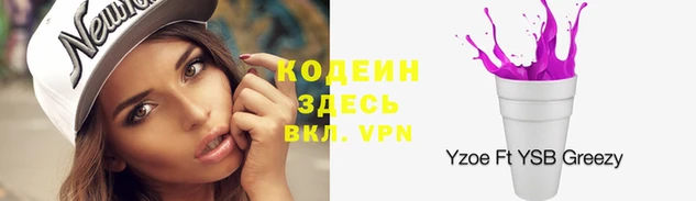 прущие грибы Белокуриха