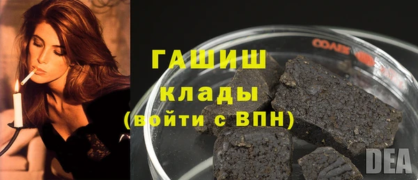 прущие грибы Белокуриха