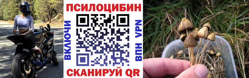 мориарти наркотические препараты  Верещагино  Галлюциногенные грибы Psilocybine cubensis  hydra вход 
